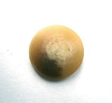 B4218 15mm Aaran Creams and Brown Bone Sheen Shank Button - Ribbonmoon