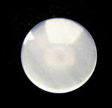 B12948 17mm Pearlised White Polyester Shank Button - Ribbonmoon