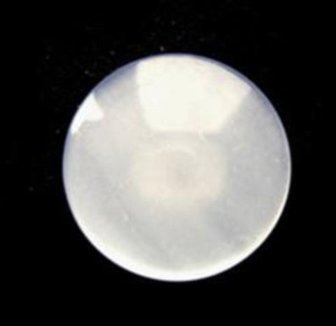 B12948 17mm Pearlised White Polyester Shank Button - Ribbonmoon