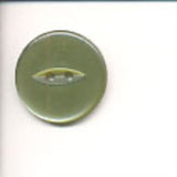 B10466 23mm Pale Cypress Green 2 Hole Polyester Fish Eye Button - Ribbonmoon