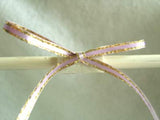 R4140 4mm Helio Double Faced Satin Ribbon, Metallic Gold Edge - Ribbonmoon