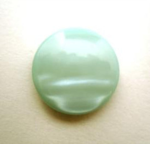 B14391 18mm Tonal Aqua Pearlised Polyester Shank Button - Ribbonmoon