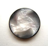 B15636 18mm Black Based Iridescent Nacre Shell Effect Shank Button - Ribbonmoon