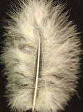 MARAB46 Natural Cream Marabou Feathers, 20 per pack. 10cm x 15cm approx - Ribbonmoon